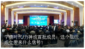 寧德時(shí)代/力神成首批成員！電動(dòng)航空標(biāo)委會(huì)成立帶來(lái)什么信號(hào)？